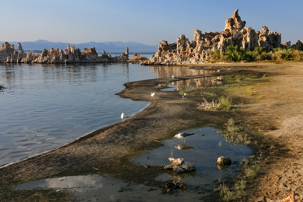 07-07 - 11.JPG - Mono Lake, CA